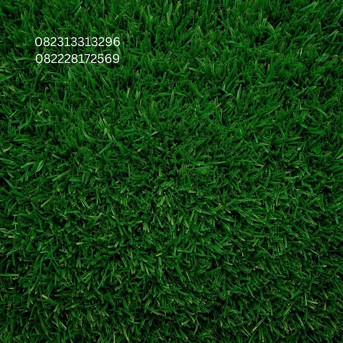 Rumput Artificial