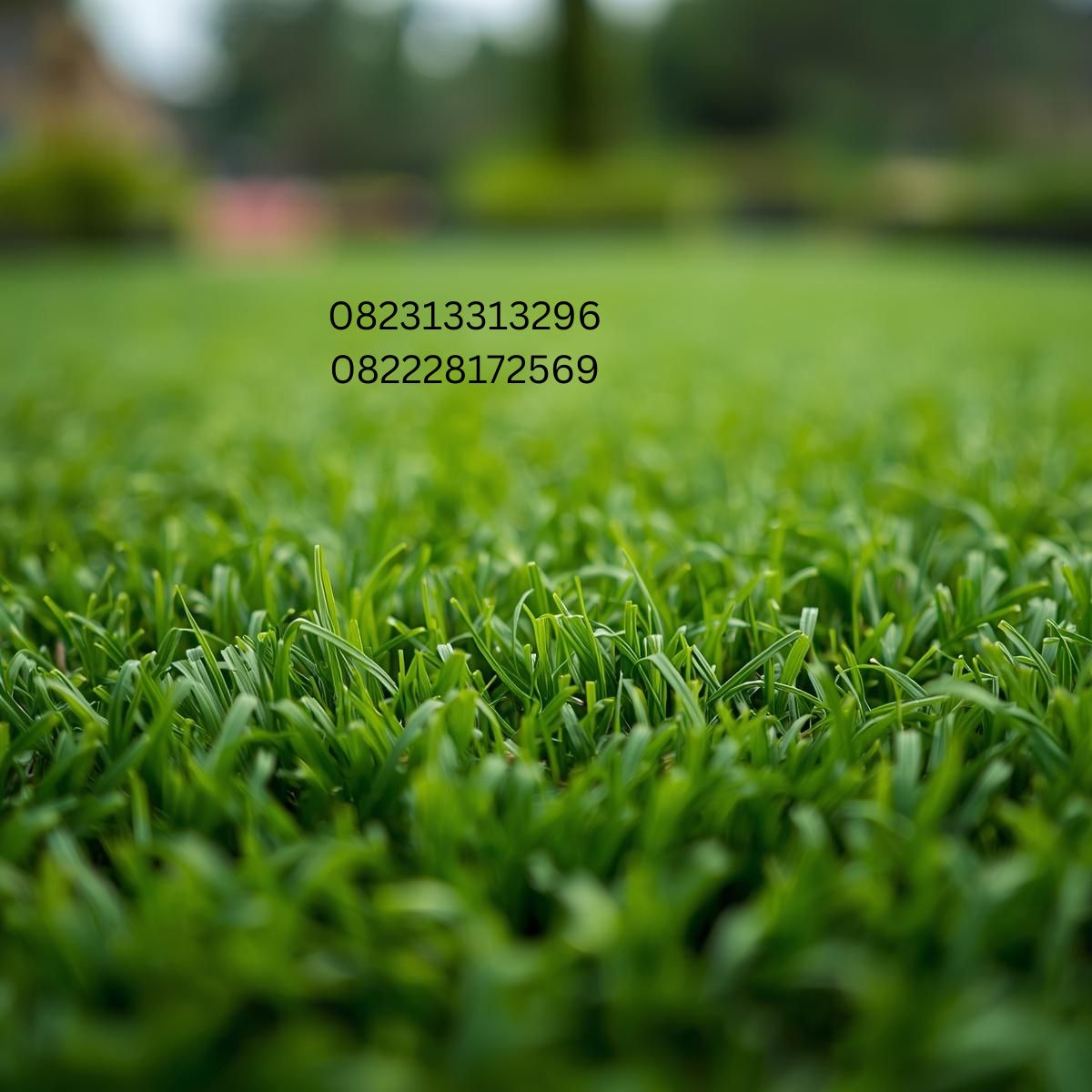 Pemasangan Rumput Sintetis