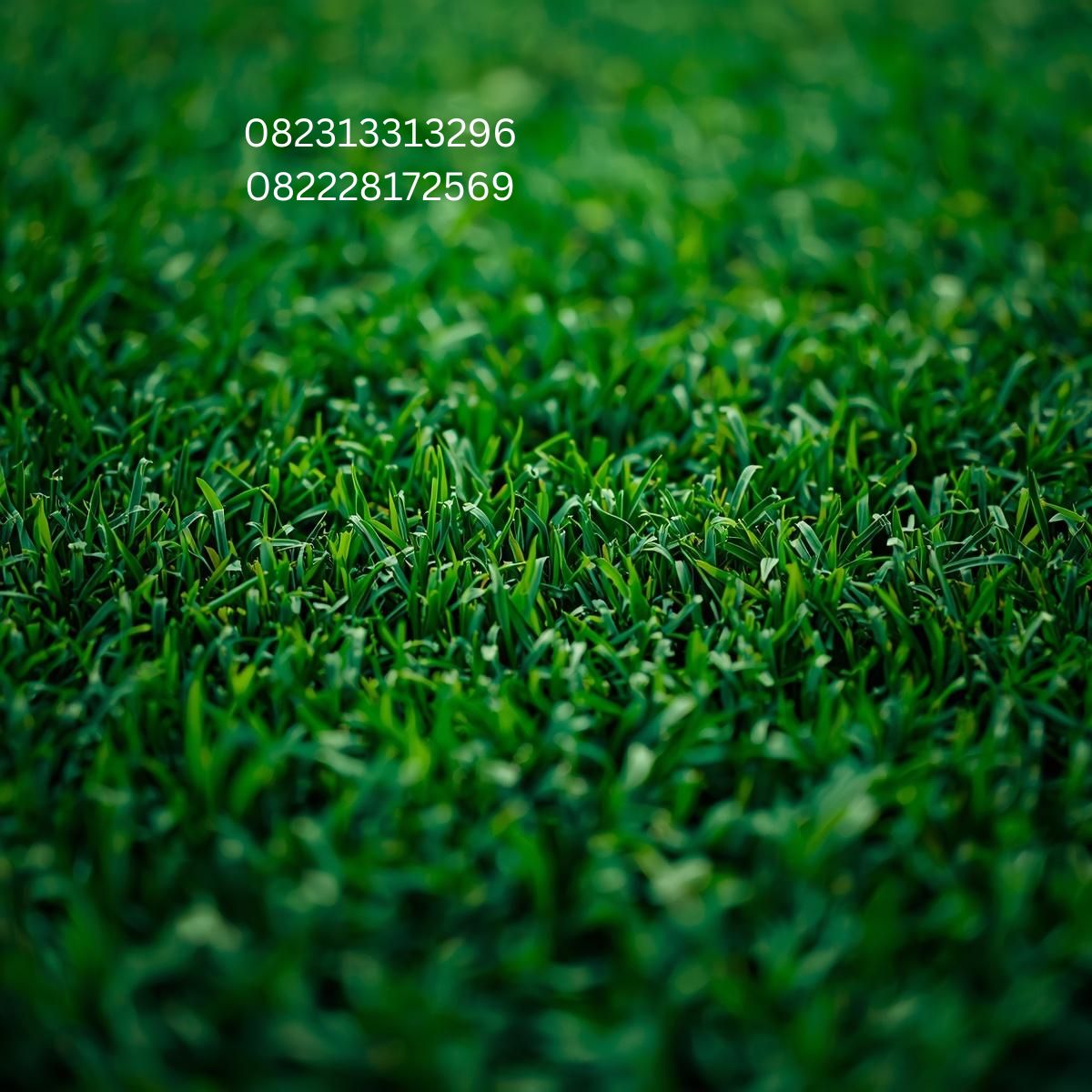 Rumput Sintetis Surabaya