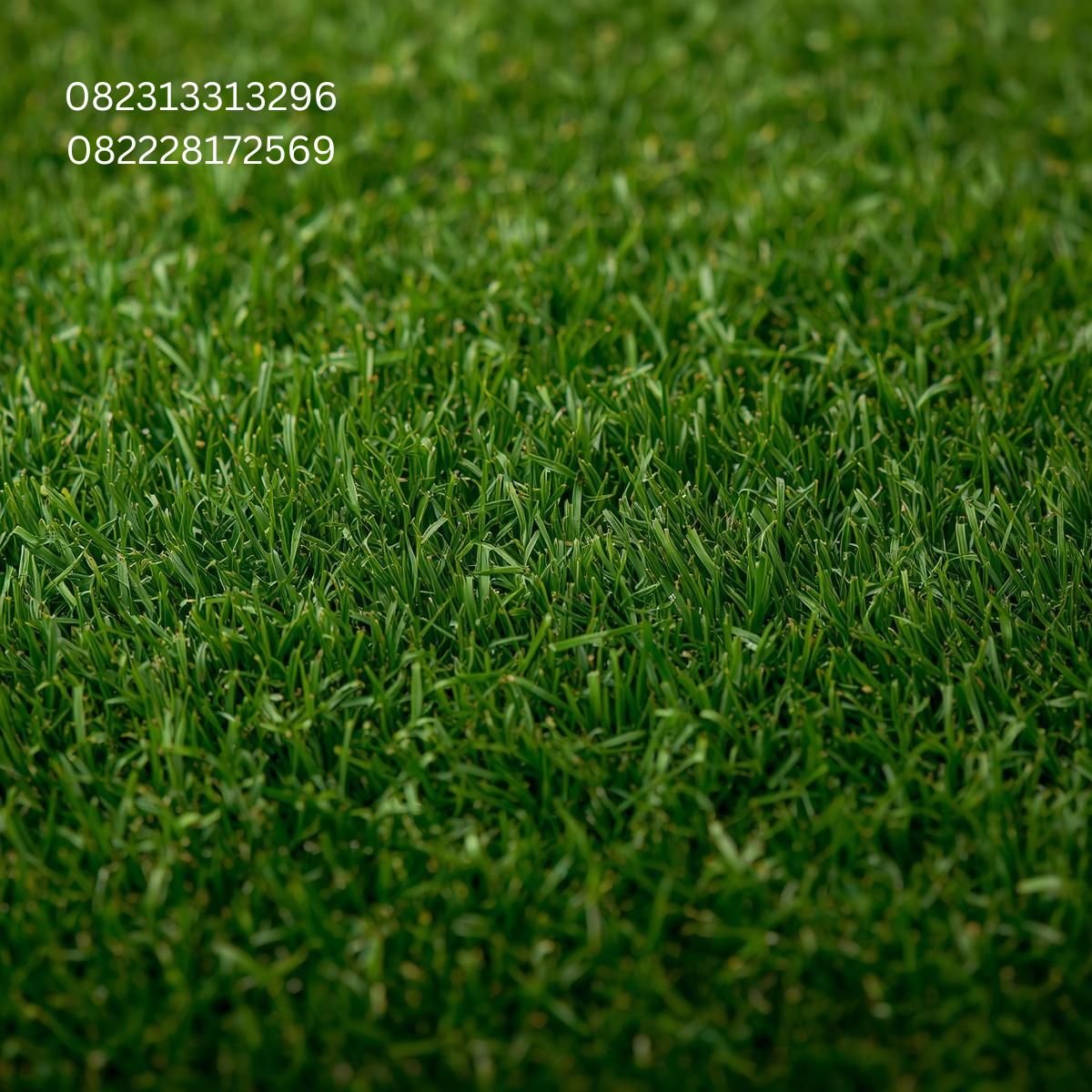 Rumput Artificial