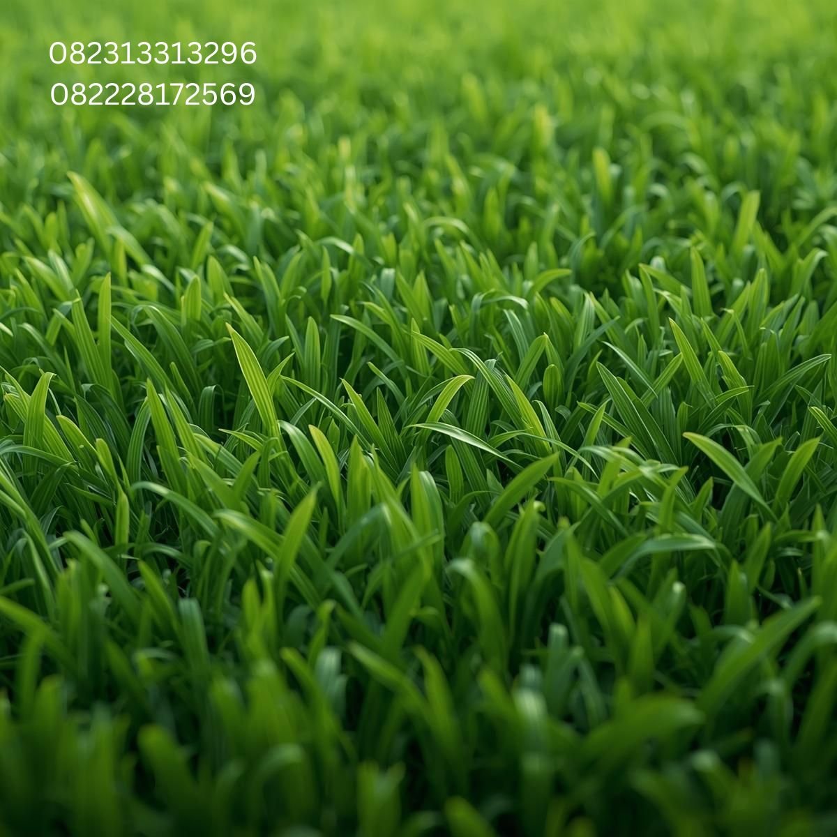 Rumput Sintetis Surabaya