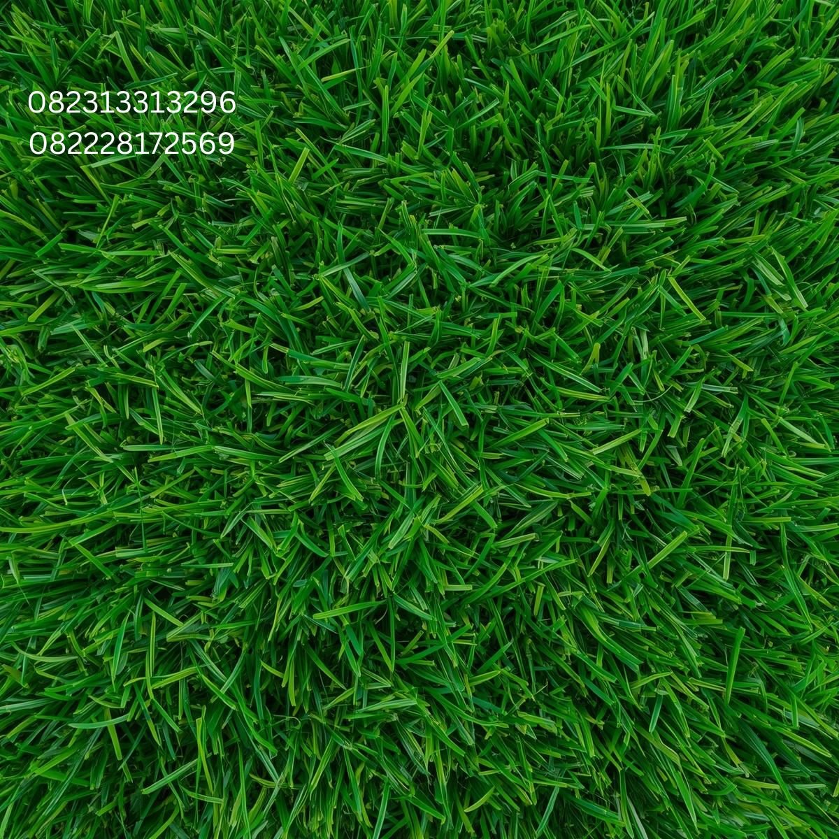 Rumput Artificial