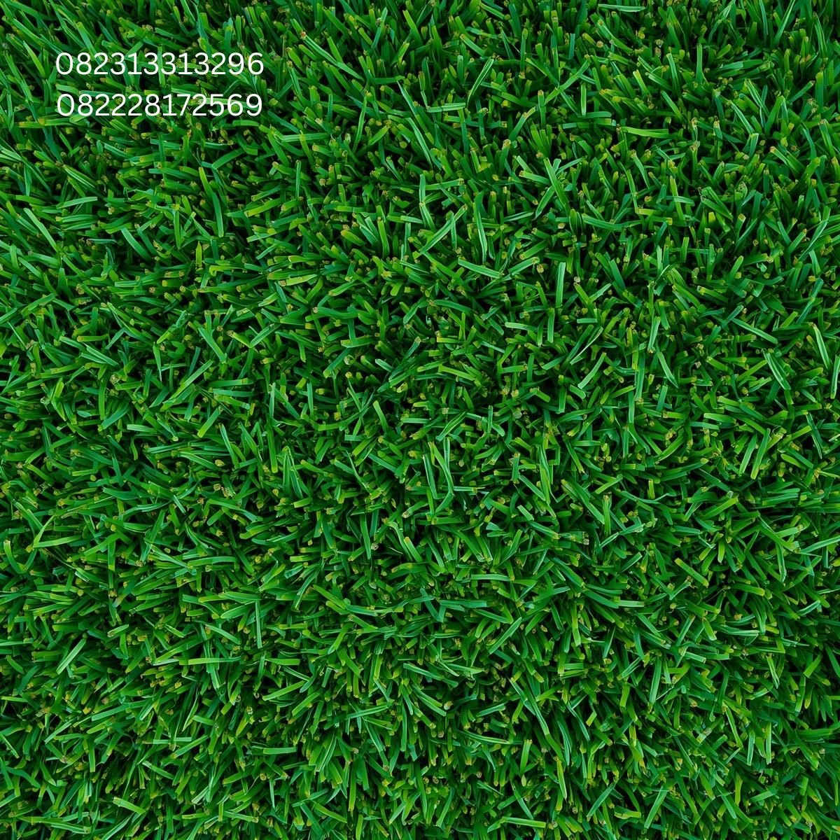 Pemasangan Rumput Sintetis