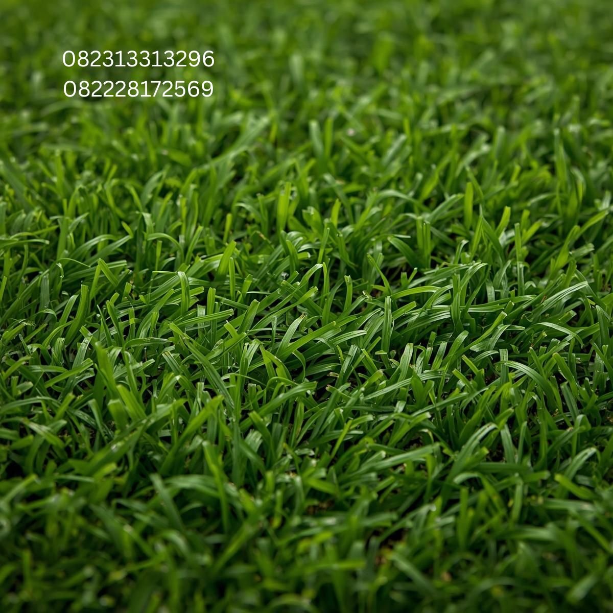 Pabrik Rumput Sintetis