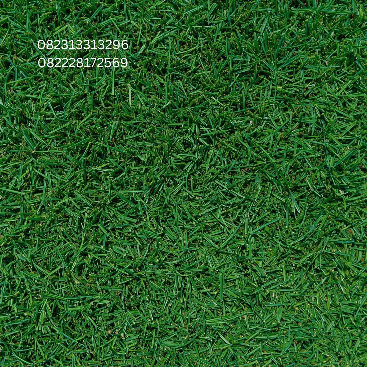 Jual Rumput Sintetis