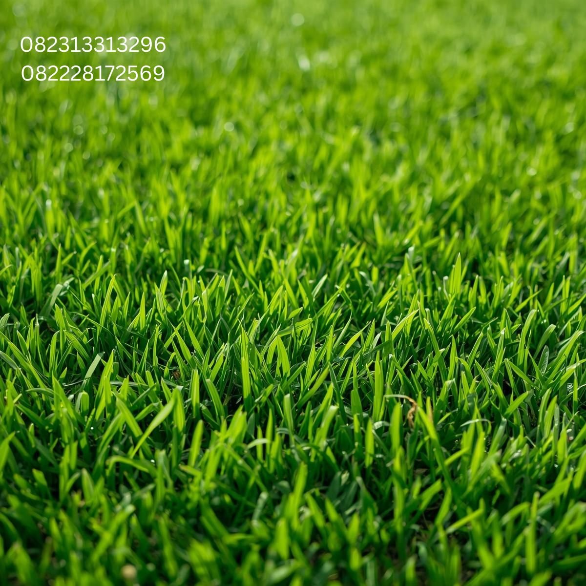 Rumput Sintetis Surabaya