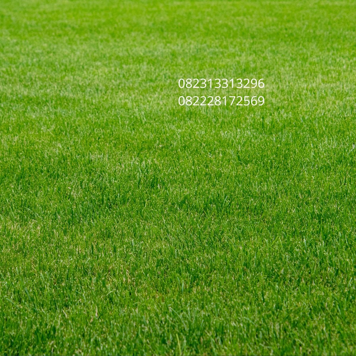 supplier rumput sintetis indonesia