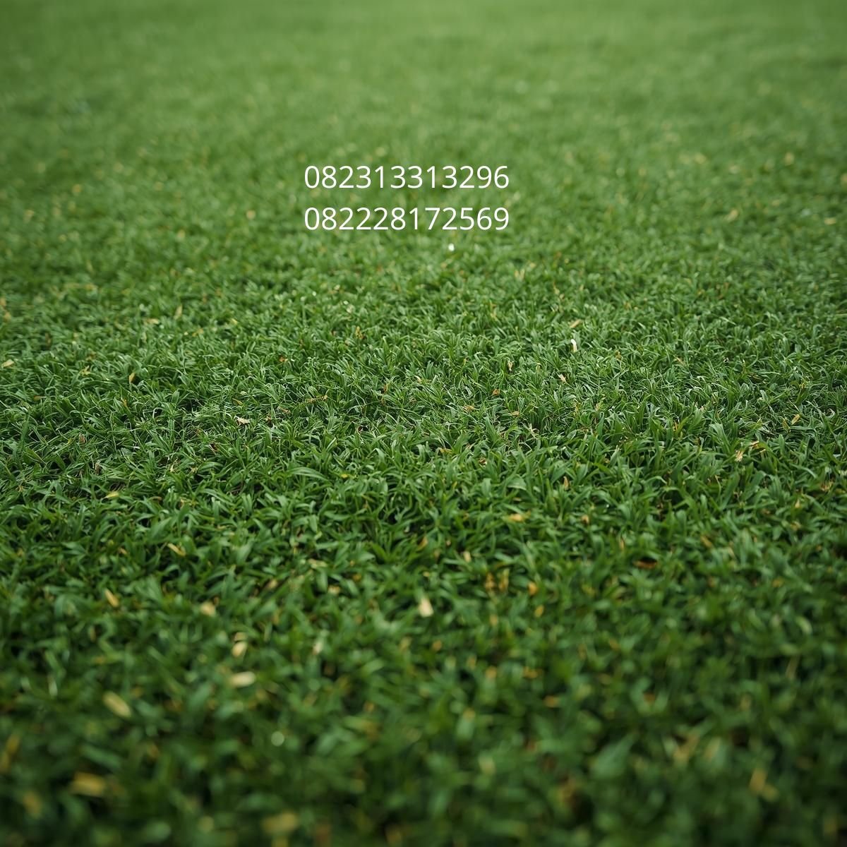 rumput sintetis dekorasi rumah