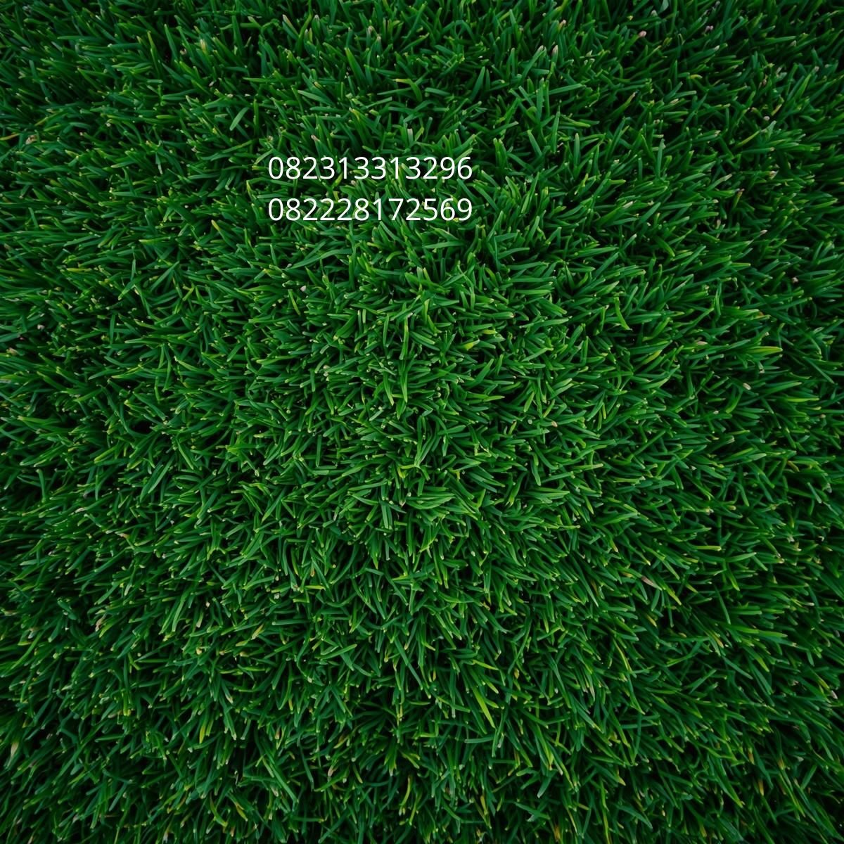 Rumput Sintetis Murah