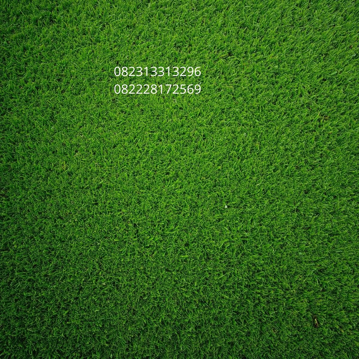 Rumput Sintetis Taman