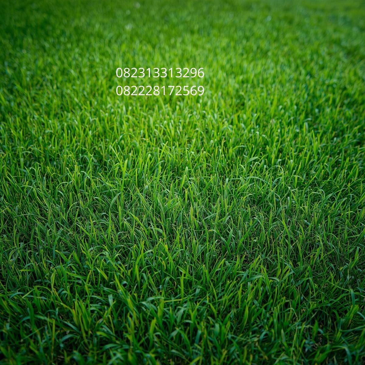 Rumput Sintetis Lapangan