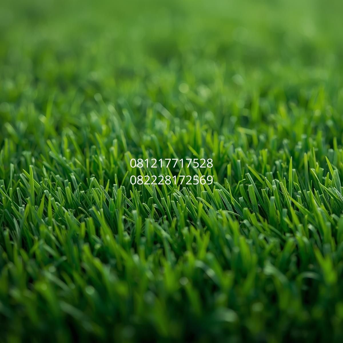 rumput sintetis premium