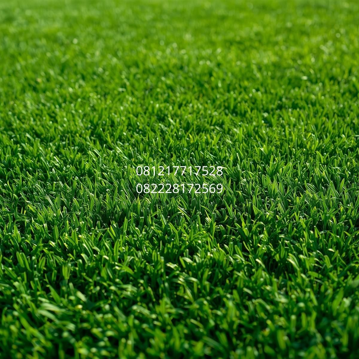 rumput sintetis taman