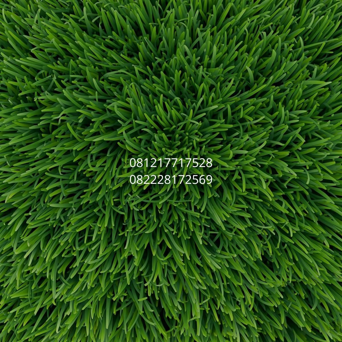 rumput sintetis tahan lama