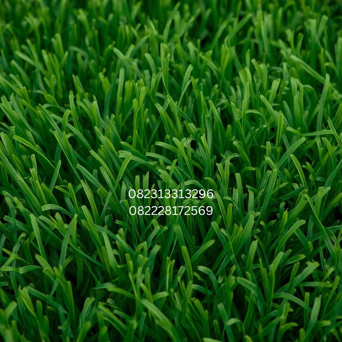 Rumput Sintetis Villa