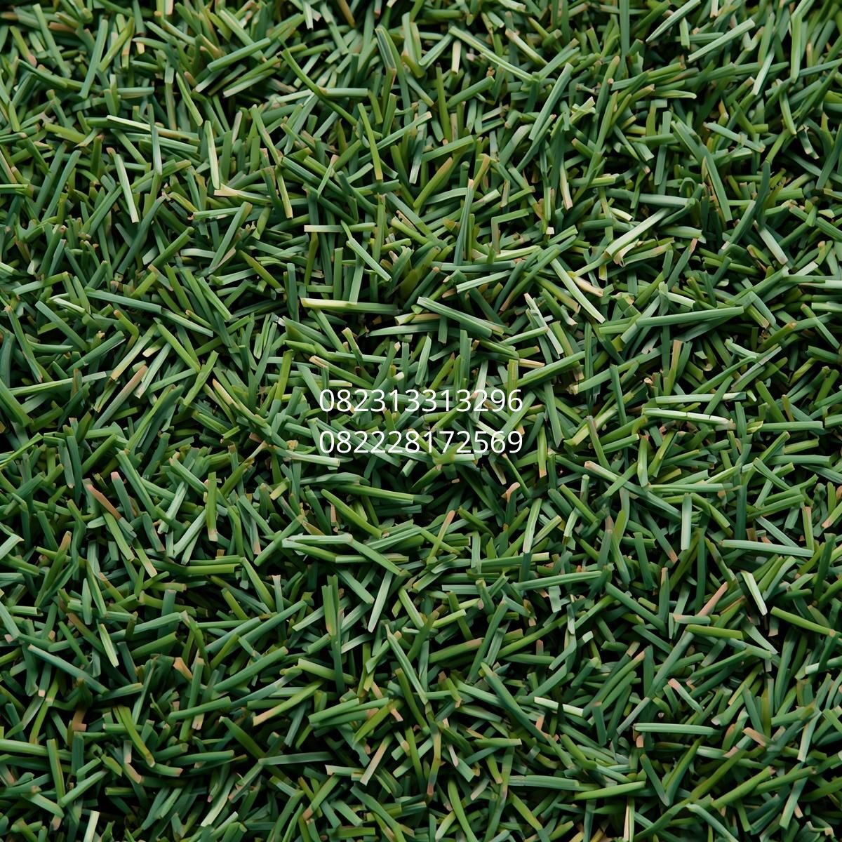 rumput sintetis lapangan futsal