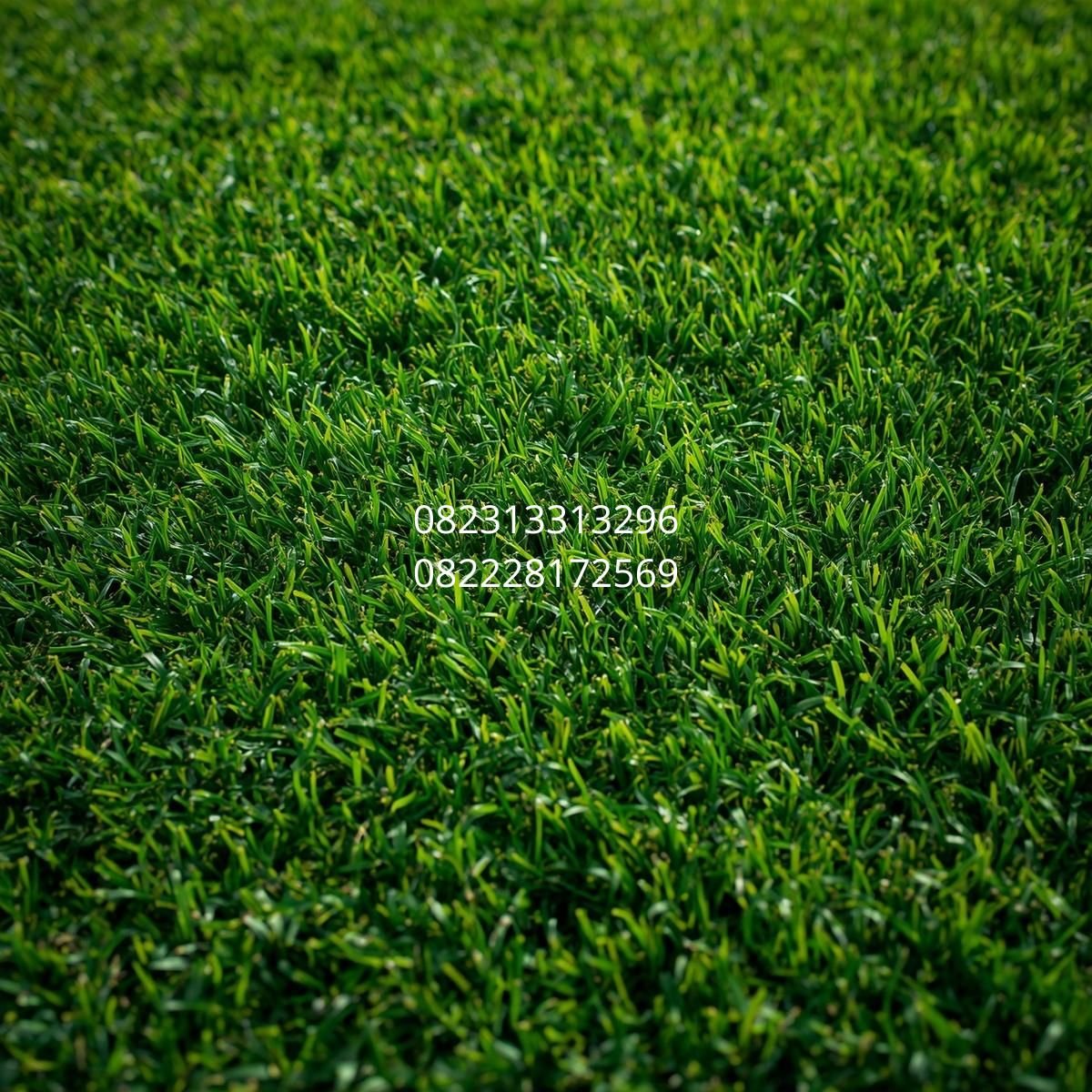 harga rumput sintetis futsal