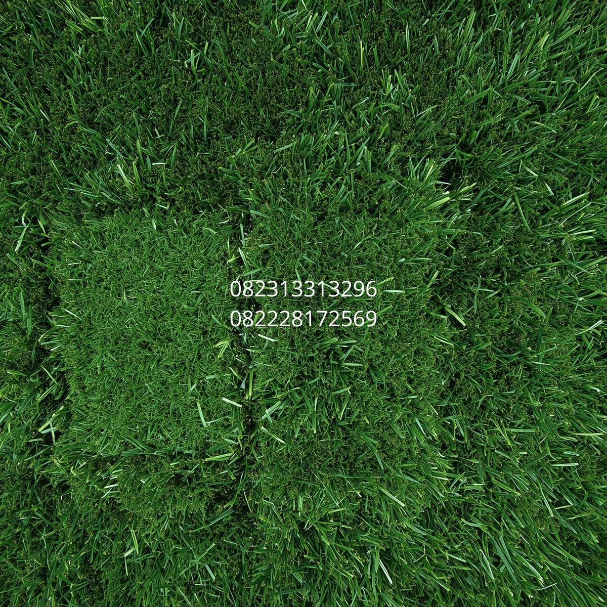 Rumput Sintetis Premium