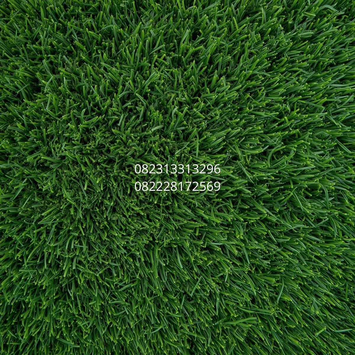 Rumput Dekoratif