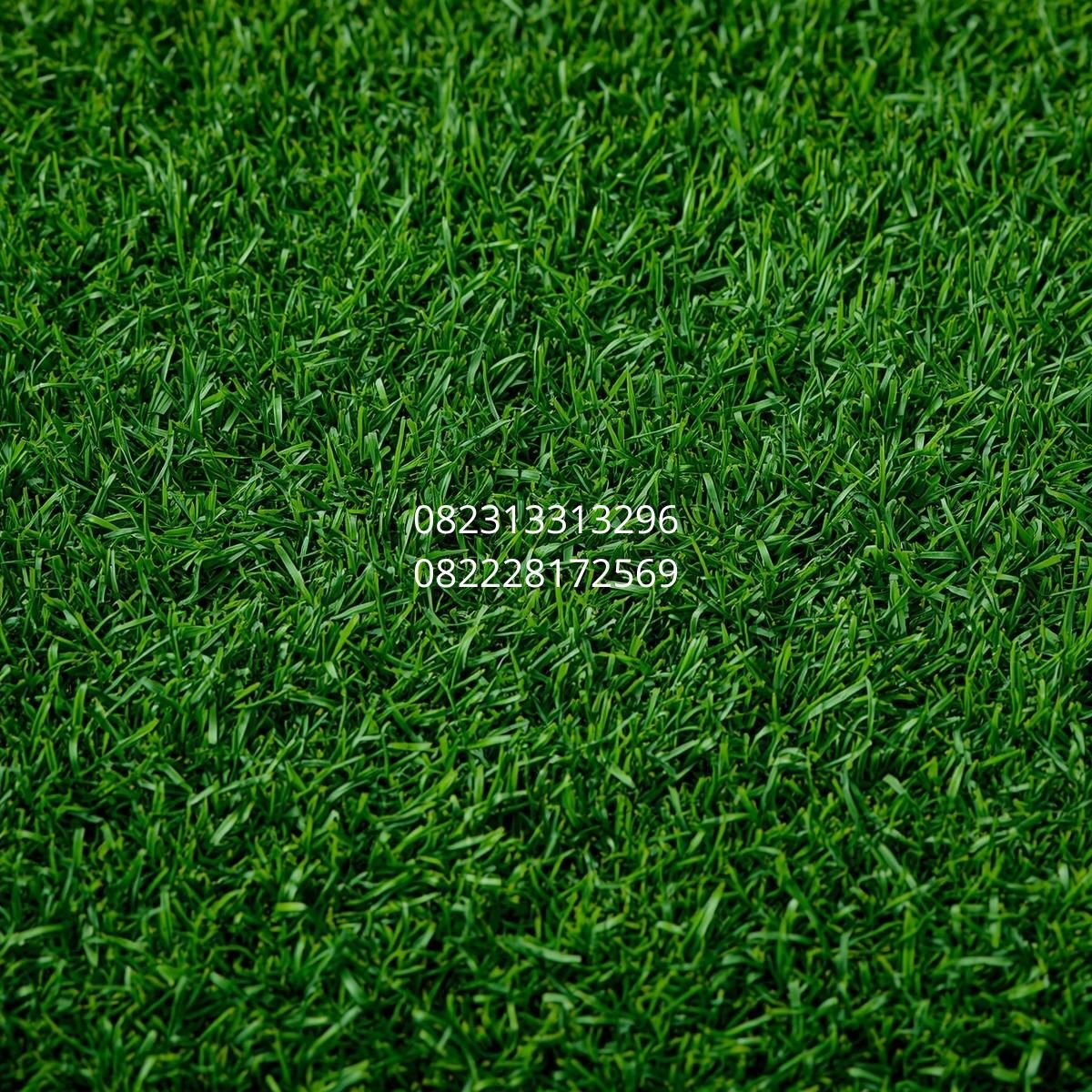 Rumput Buatan
