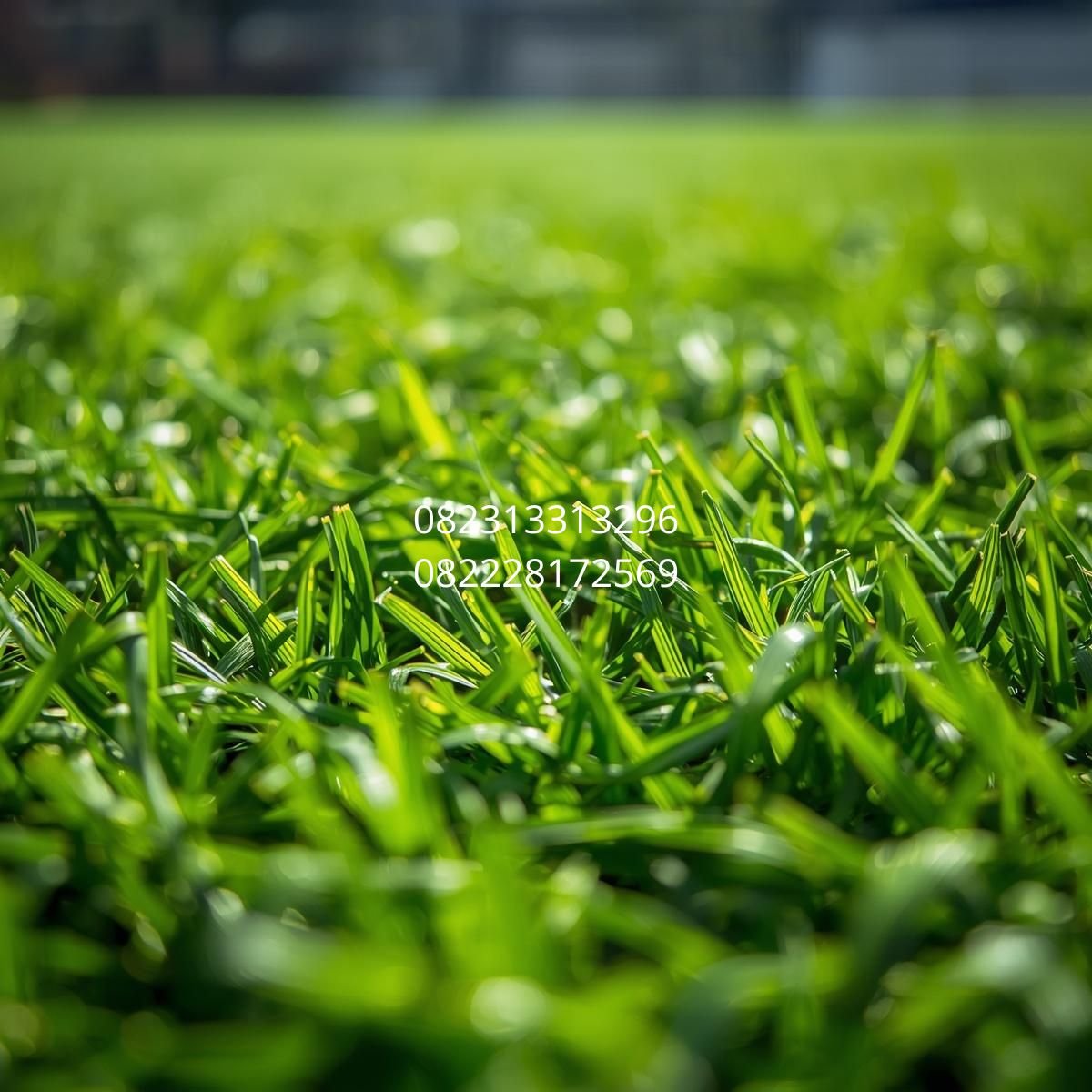 Rumput Sintetis Lantai