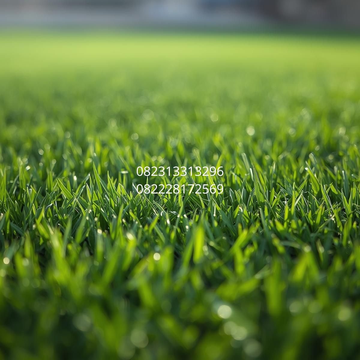 Jual Rumput Sintetis Outdoor