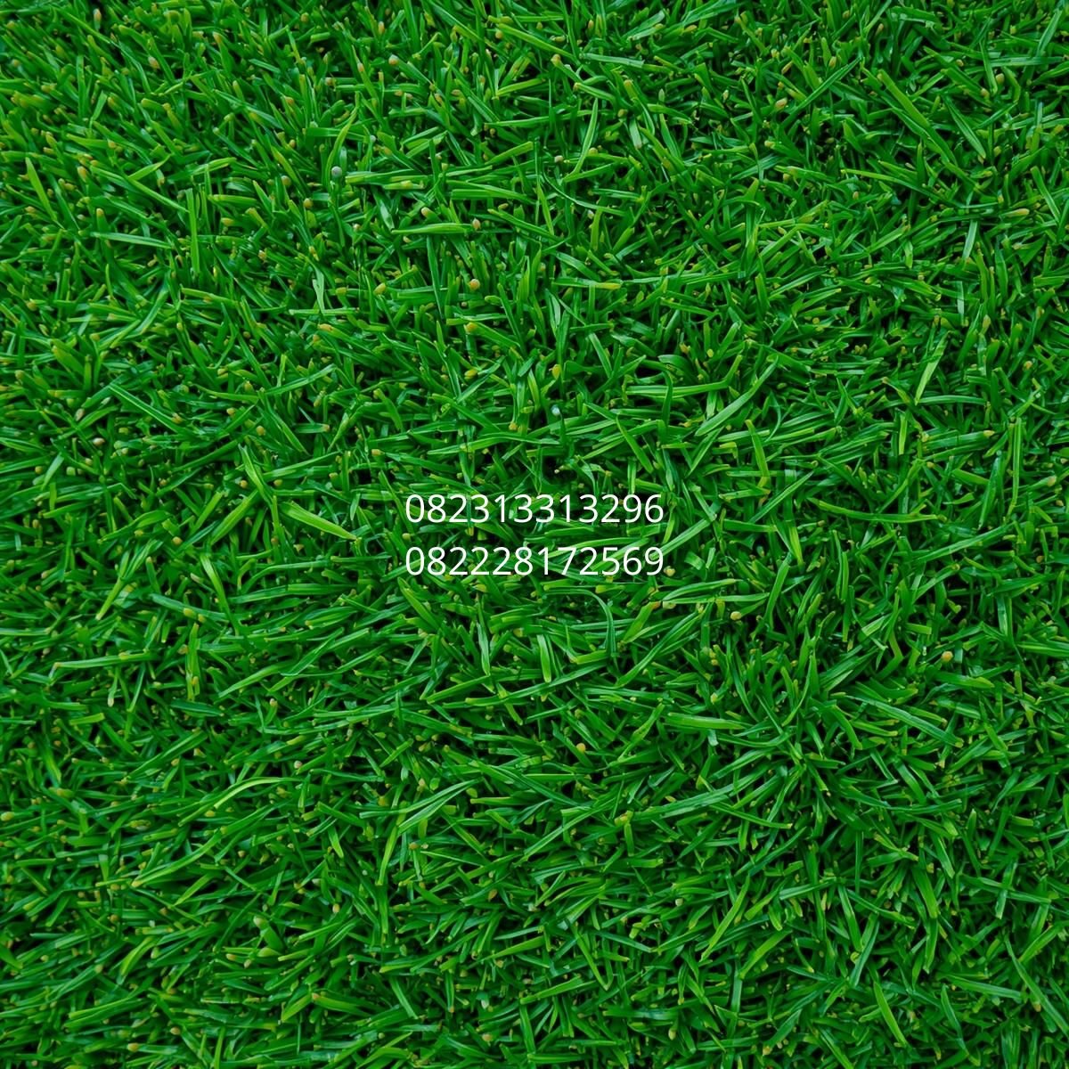 Rumput Sintetis untuk Taman