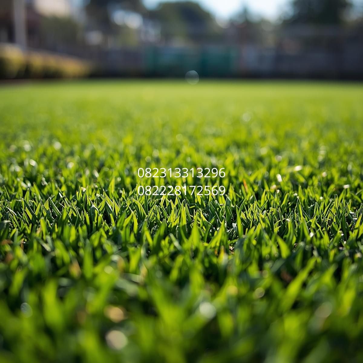 rumput sintetis taman