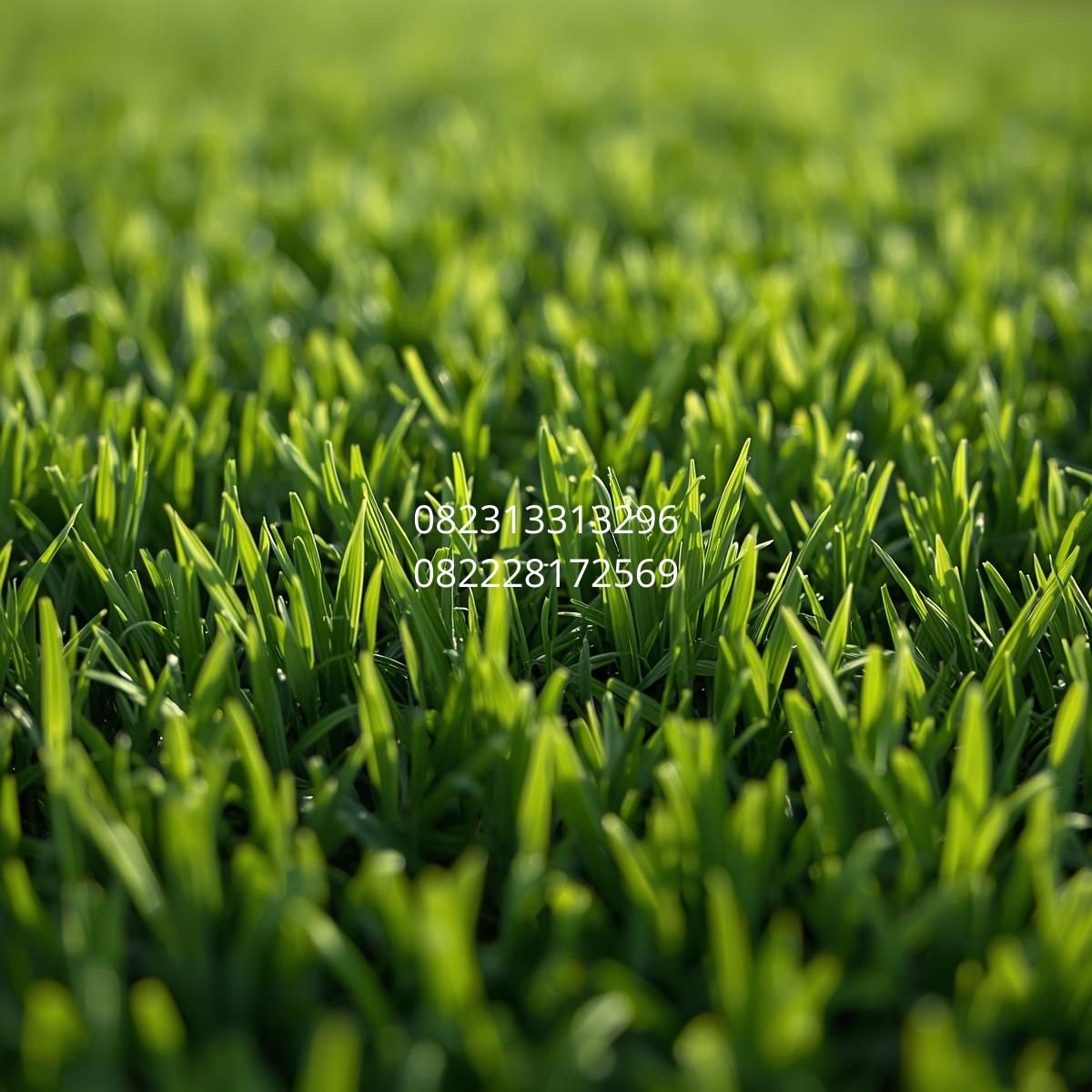 rumput sintetis dekoratif