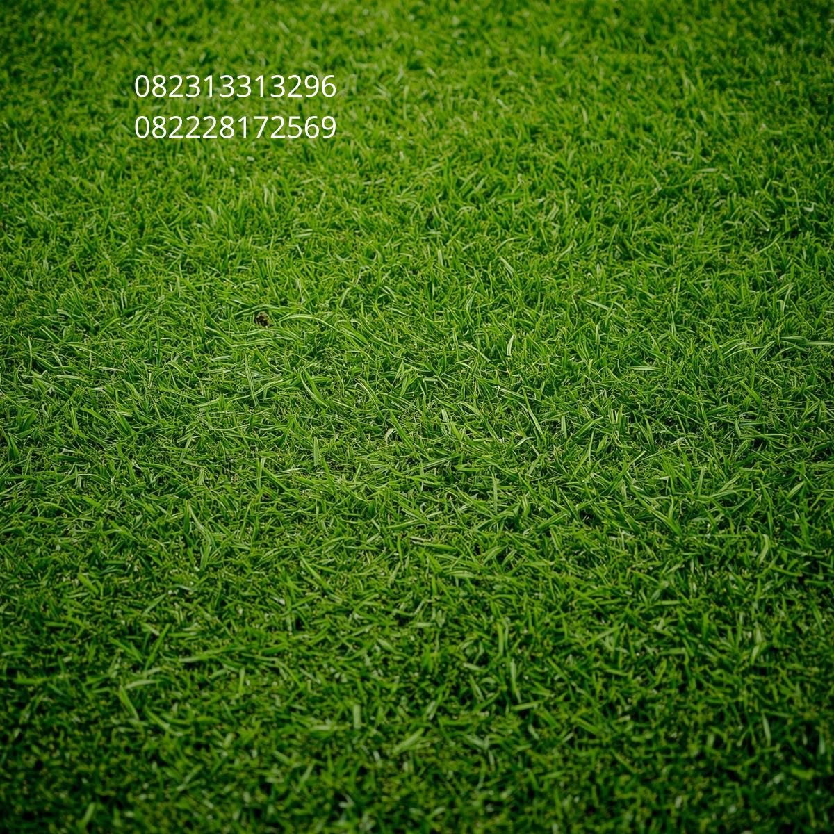 Rumput Artificial
