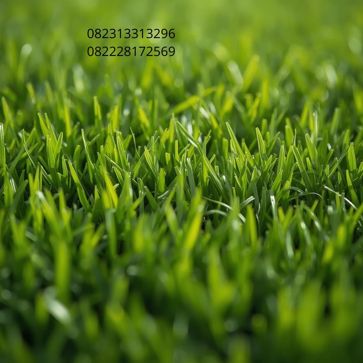 Pemasangan Rumput Sintetis