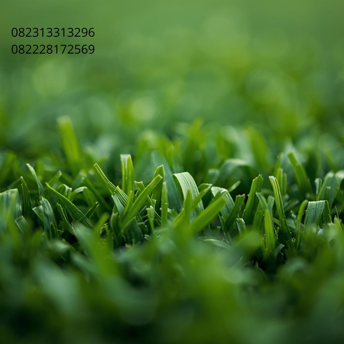Jual Rumput Sintetis