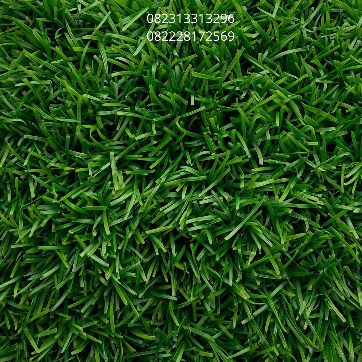 Rumput Sintetis Kantor