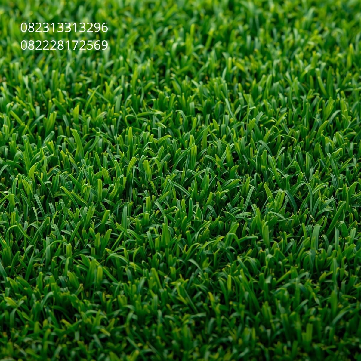 Rumput Sintetis Surabaya
