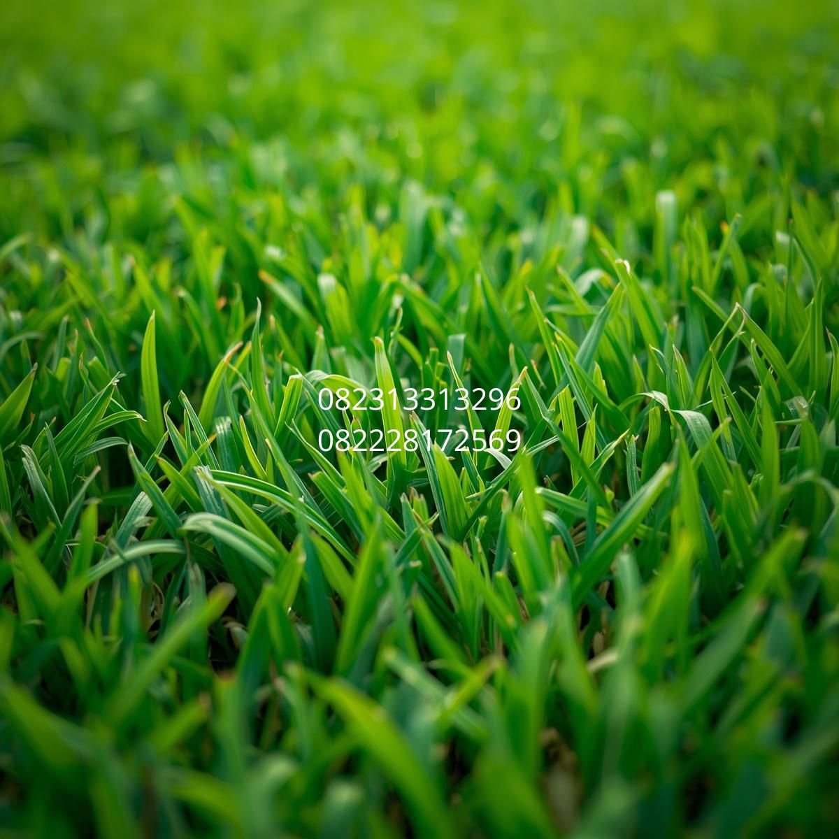 jual rumput sintetis Bandung