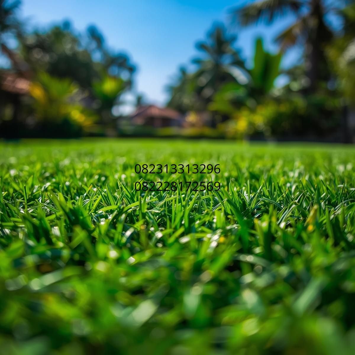 pemasangan rumput sintetis Bandung