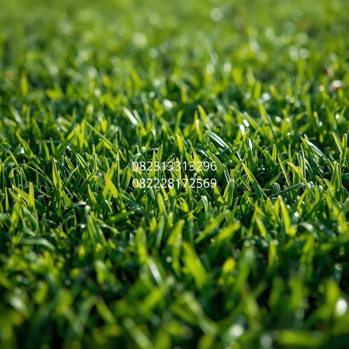 karpet rumput sintetis Bandung