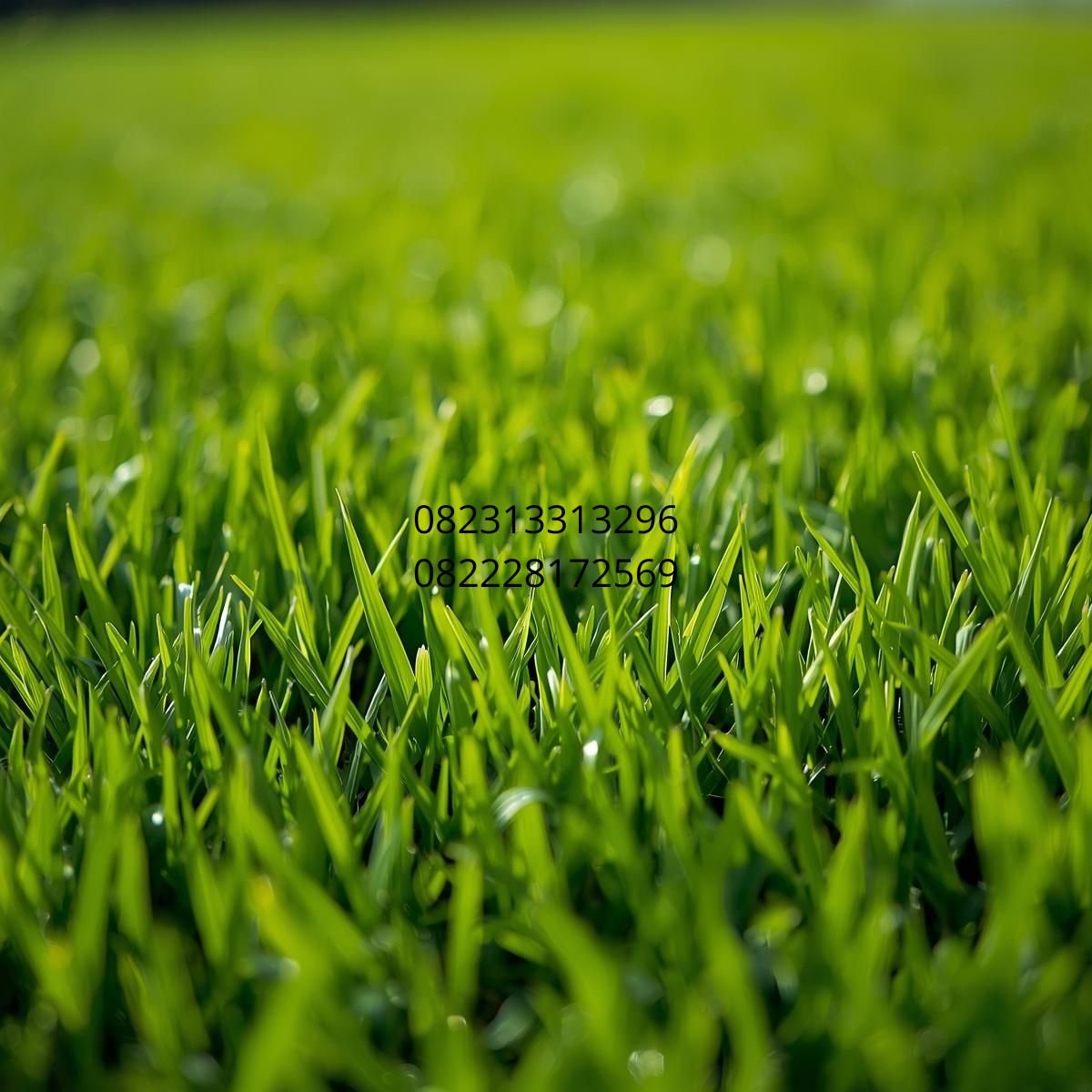 jual rumput sintetis Semarang
