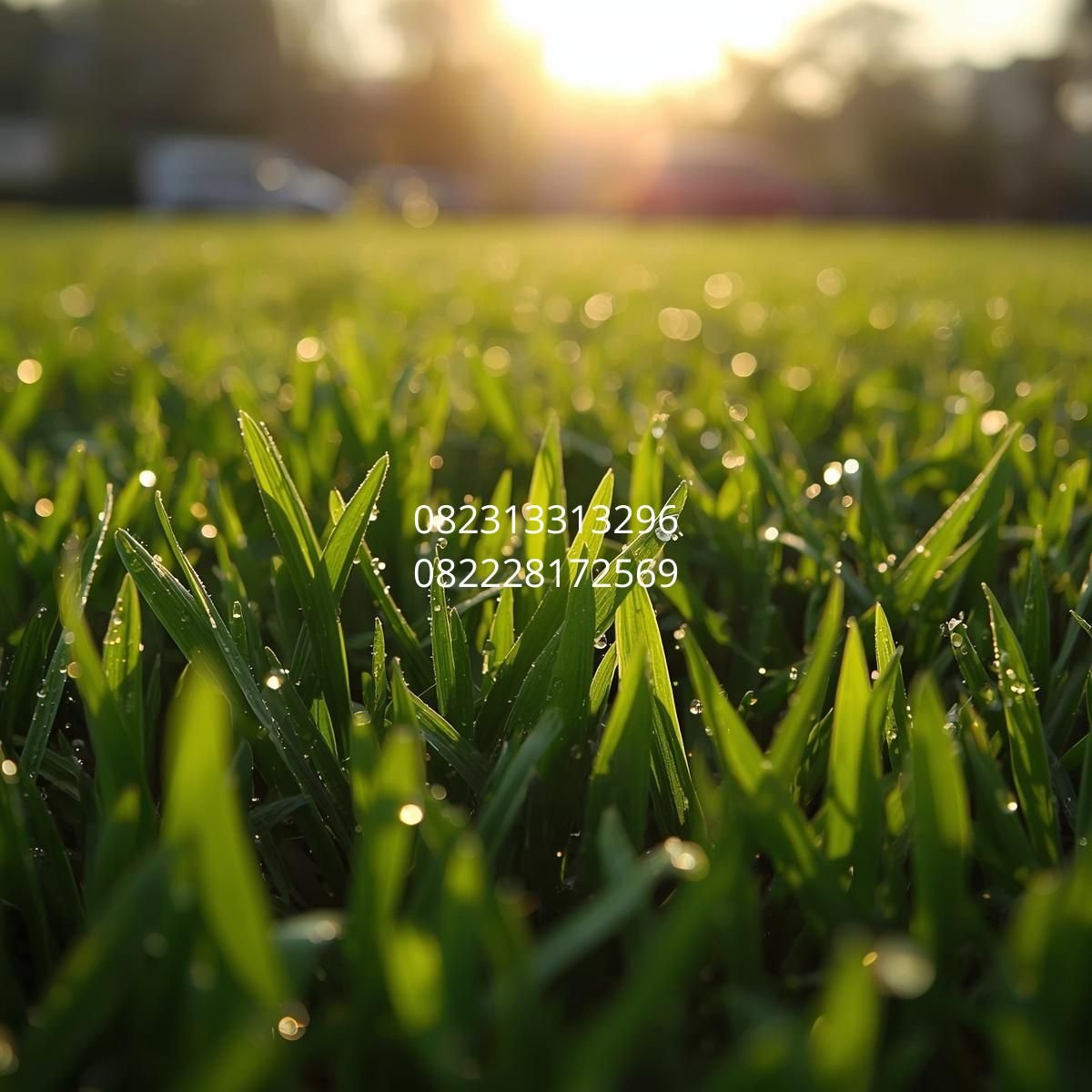 pemasangan rumput sintetis Semarang