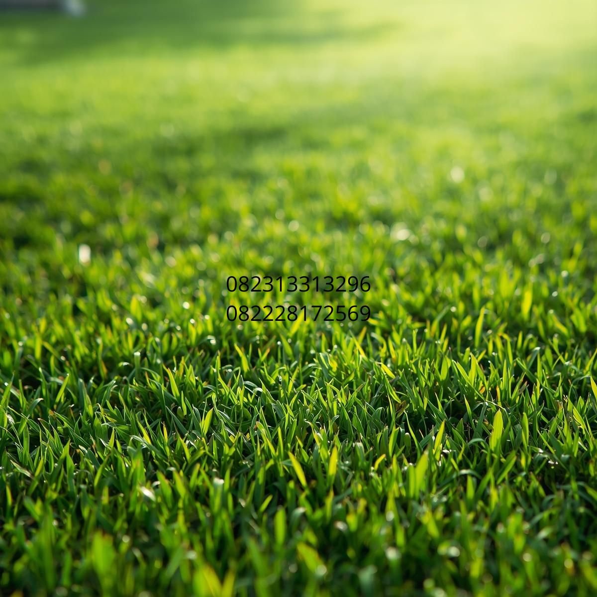karpet rumput sintetis Semarang