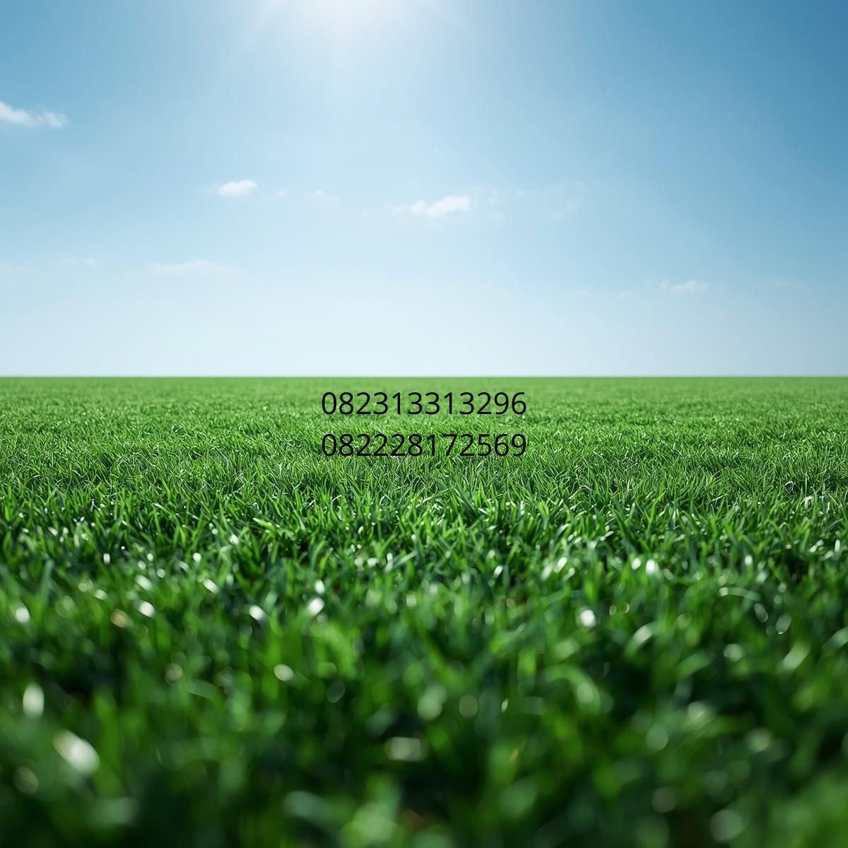 jual rumput sintetis medan