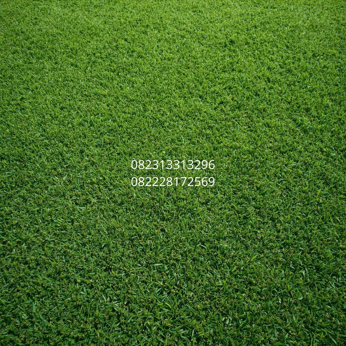 harga rumput sintetis medan