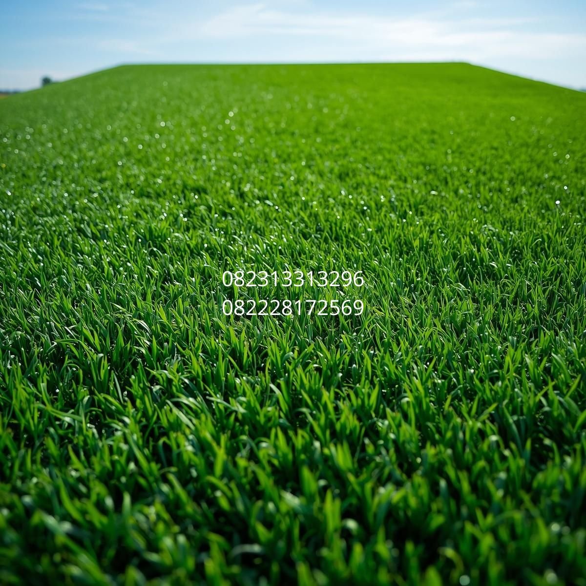 rumput sintetis taman medan