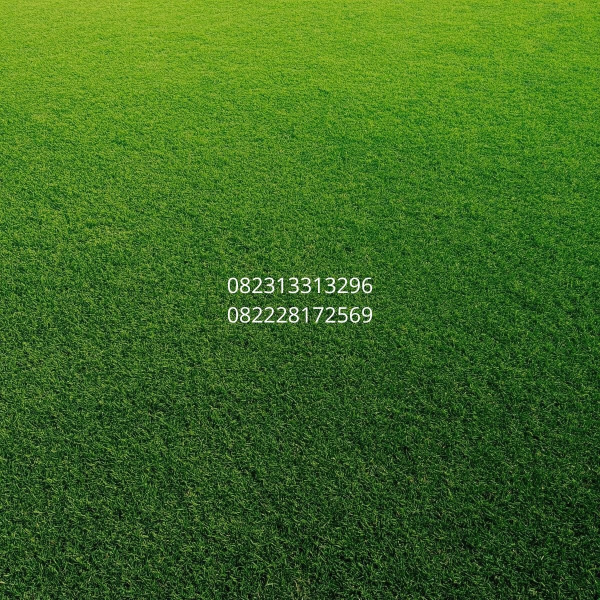 rumput sintetis lapangan medan