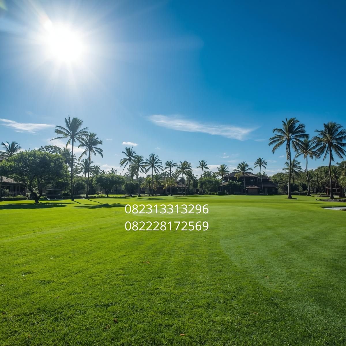 rumput sintetis berkualitas Bali