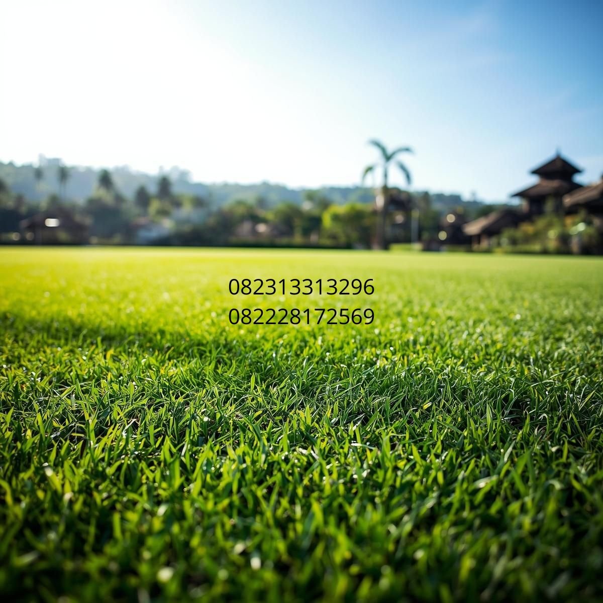 jual rumput sintetis Bali