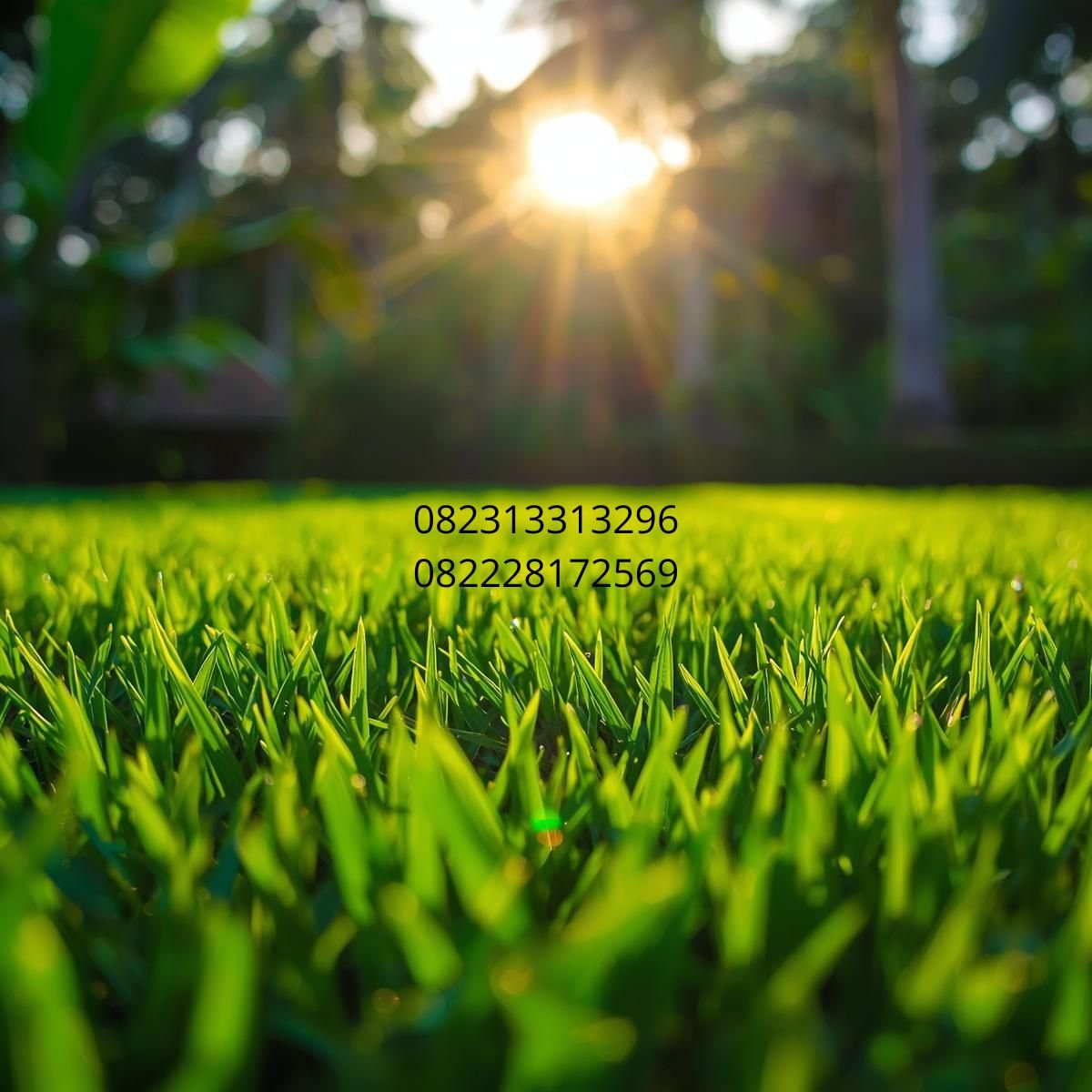 rumput sintetis dekorasi Bali