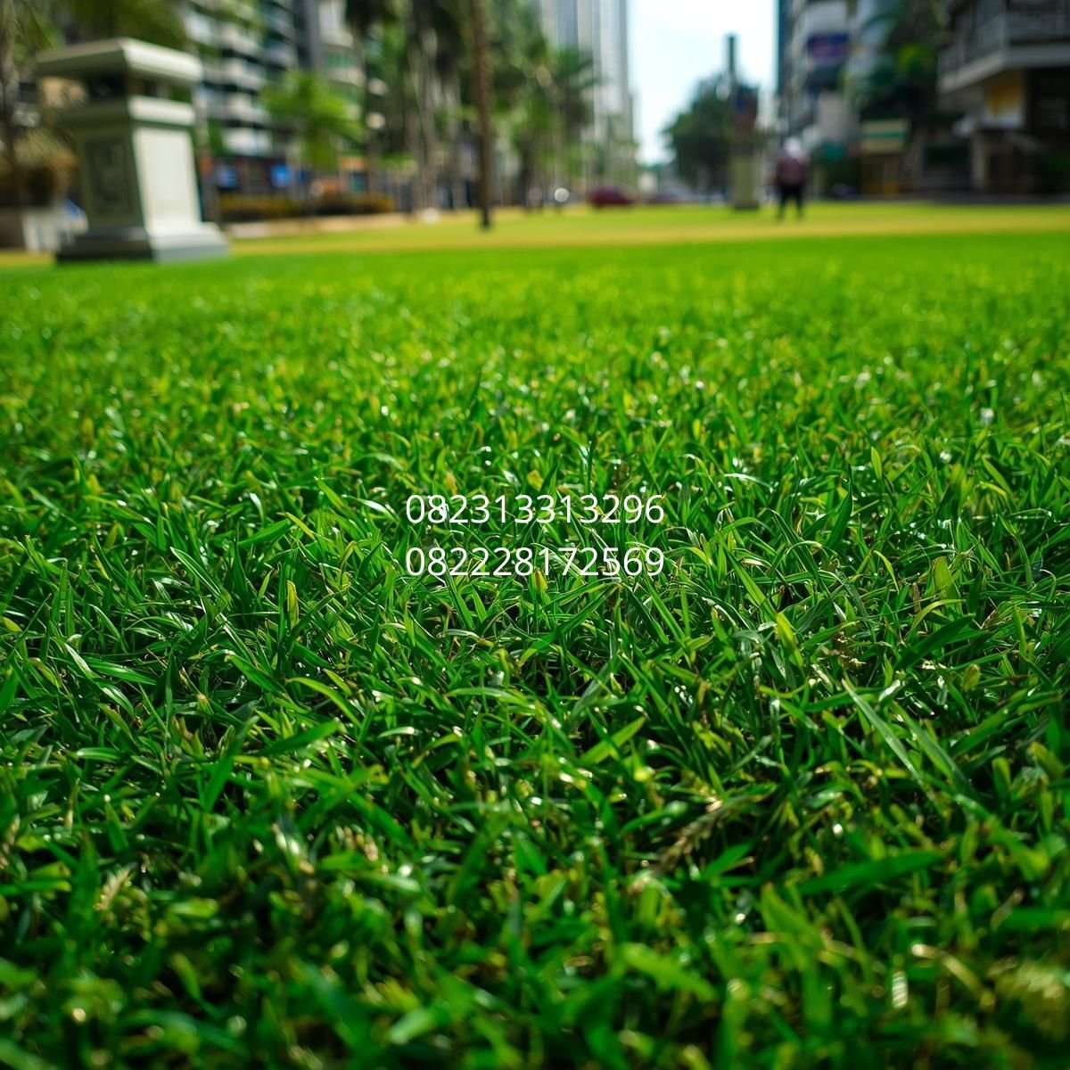 harga rumput sintetis Makassar