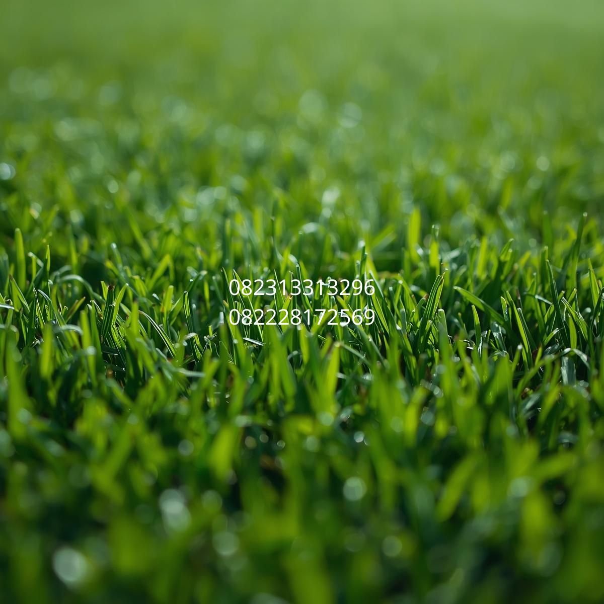 rumput sintetis taman Makassar