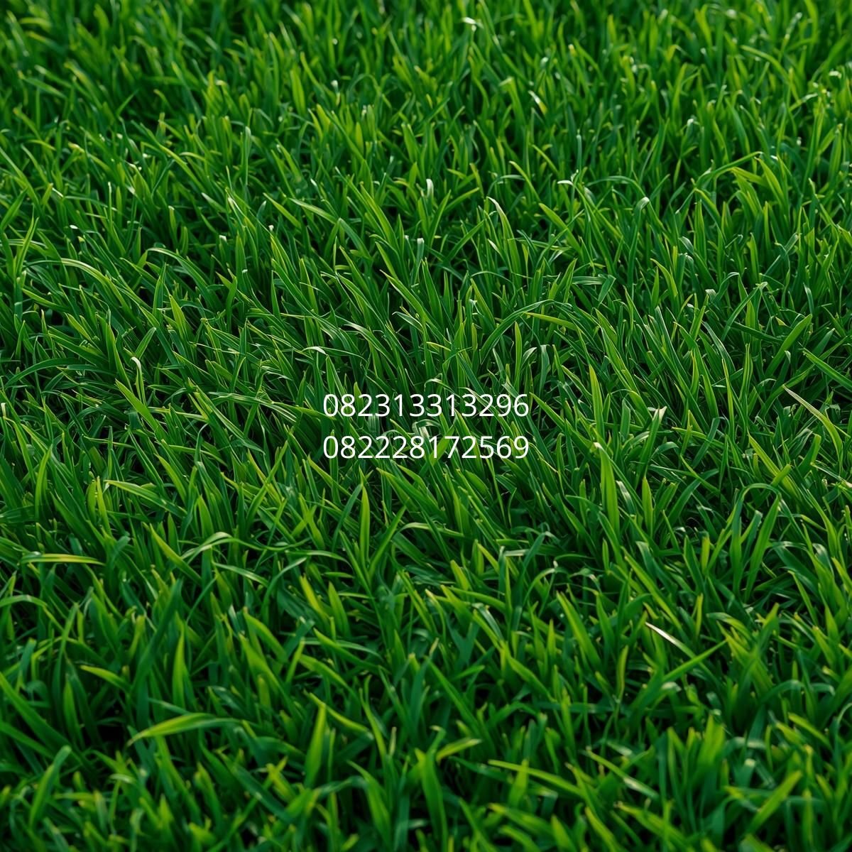 rumput sintetis dekorasi Makassar